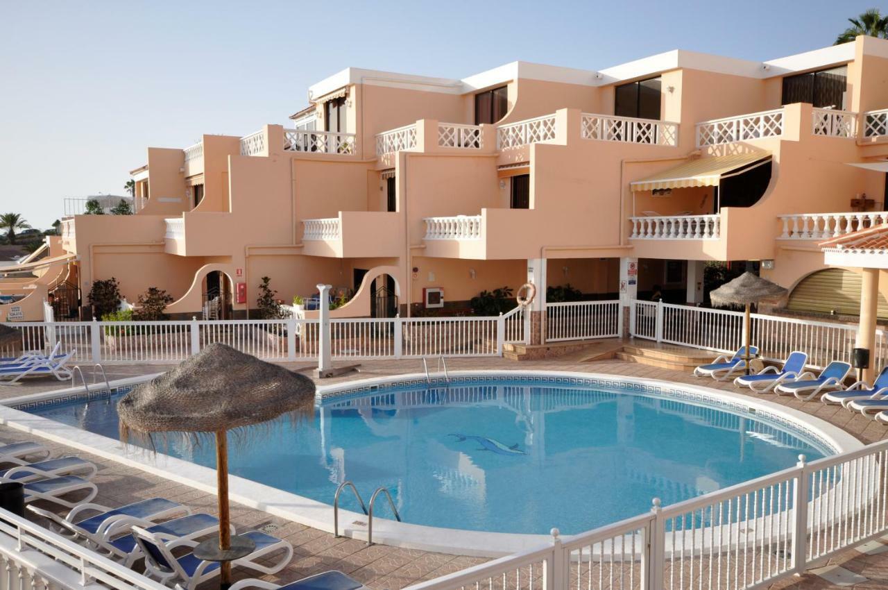 אדחה Paradise Court Las Americas Wifi Piscina 26 מראה חיצוני תמונה
